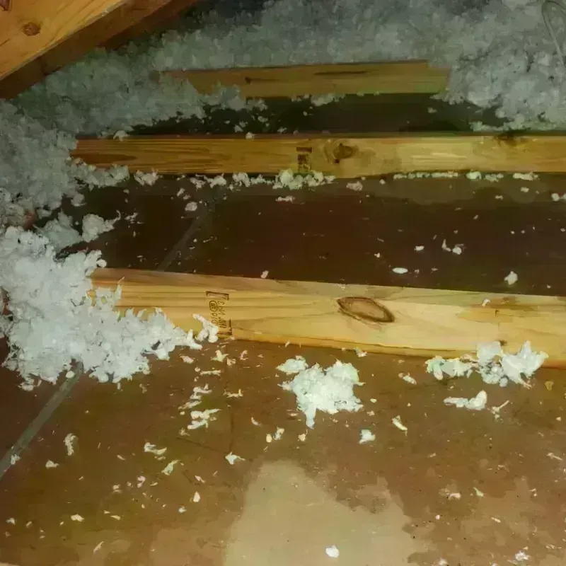 Attic Water Damage in Scappoose, OR